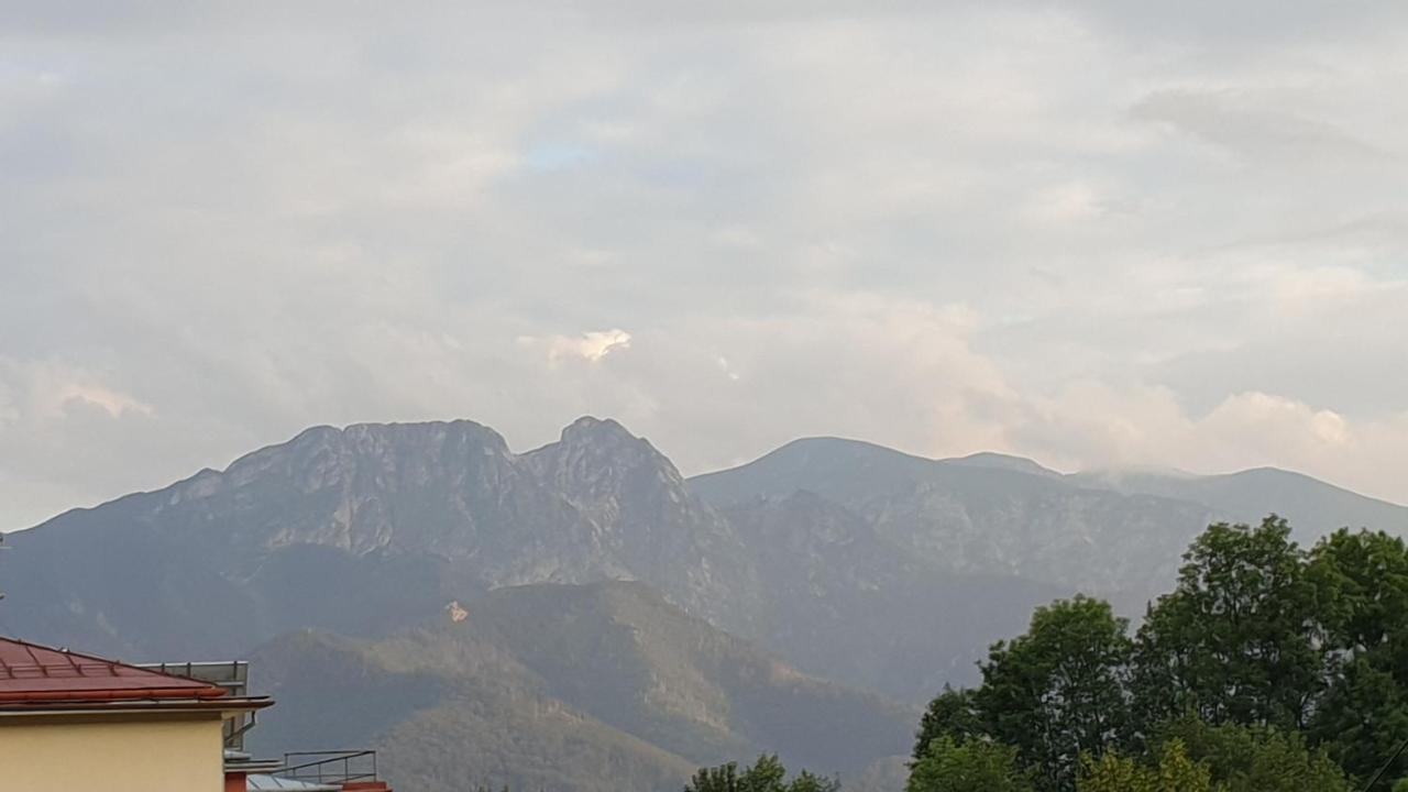 Villa Fortuna - Regionalne Apartamenty & Spa - Sauna, Grill, Jacuzzi Z Widokiem Na Tatry ザコパネ エクステリア 写真
