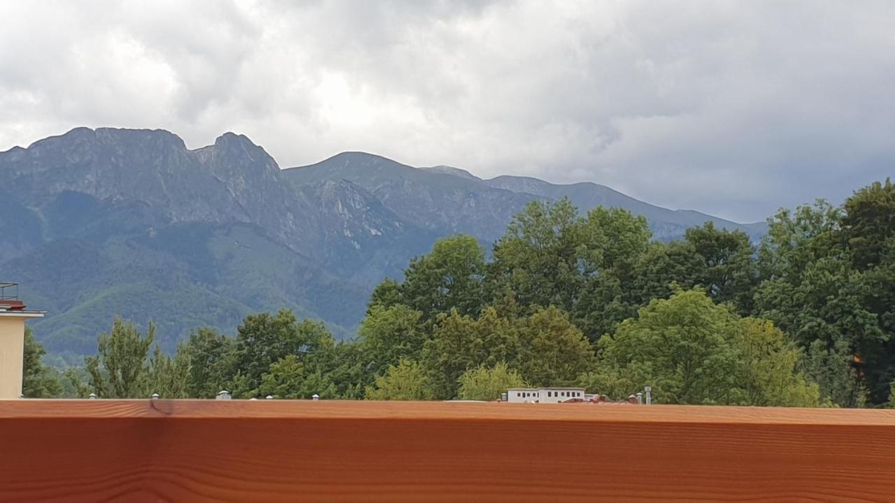 Villa Fortuna - Regionalne Apartamenty & Spa - Sauna, Grill, Jacuzzi Z Widokiem Na Tatry ザコパネ エクステリア 写真