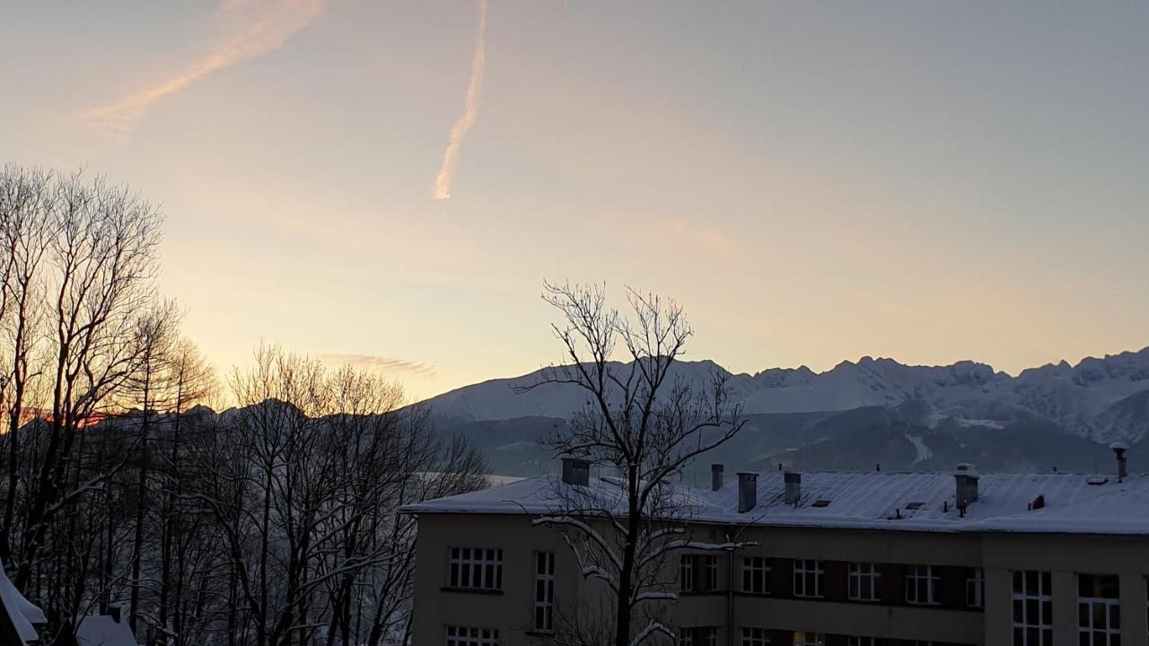 Villa Fortuna - Regionalne Apartamenty & Spa - Sauna, Grill, Jacuzzi Z Widokiem Na Tatry ザコパネ エクステリア 写真
